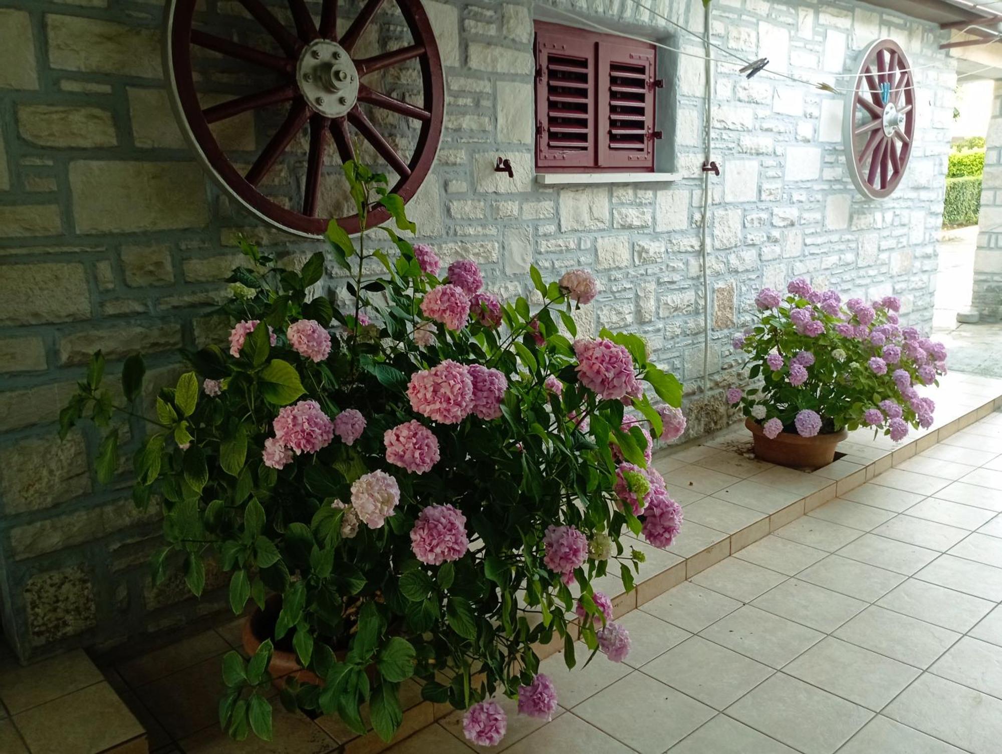 Apartment Sunce